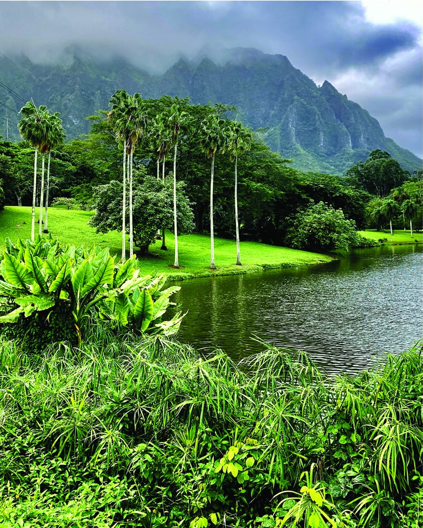 Experiencing Hawaii Without Tourists: A Gift from the Pandemic