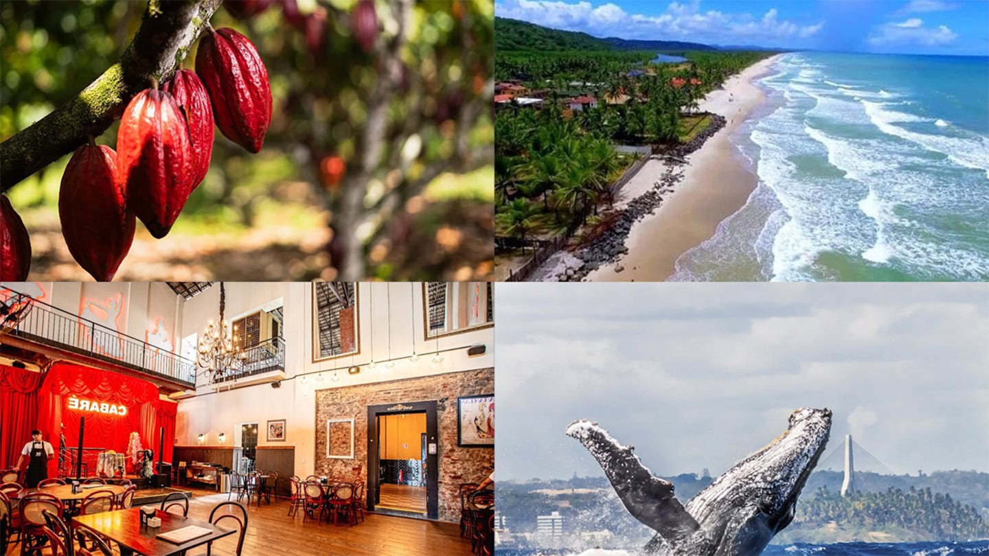 Ilhéus: Where the Sea, Cocoa, and Poetry Meet