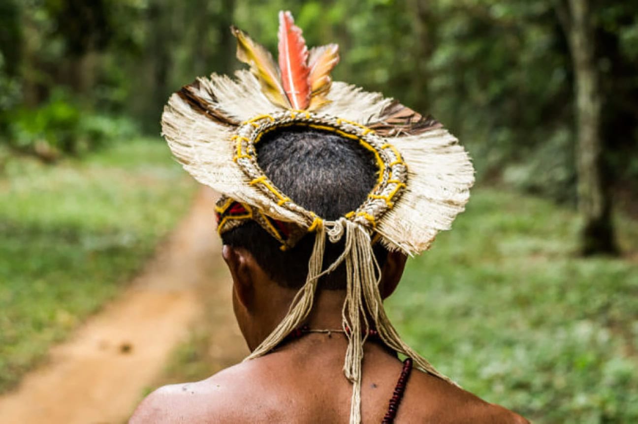 Brazilian Indigenous Researcher Maps 150 Medicinal Plants from His Territory