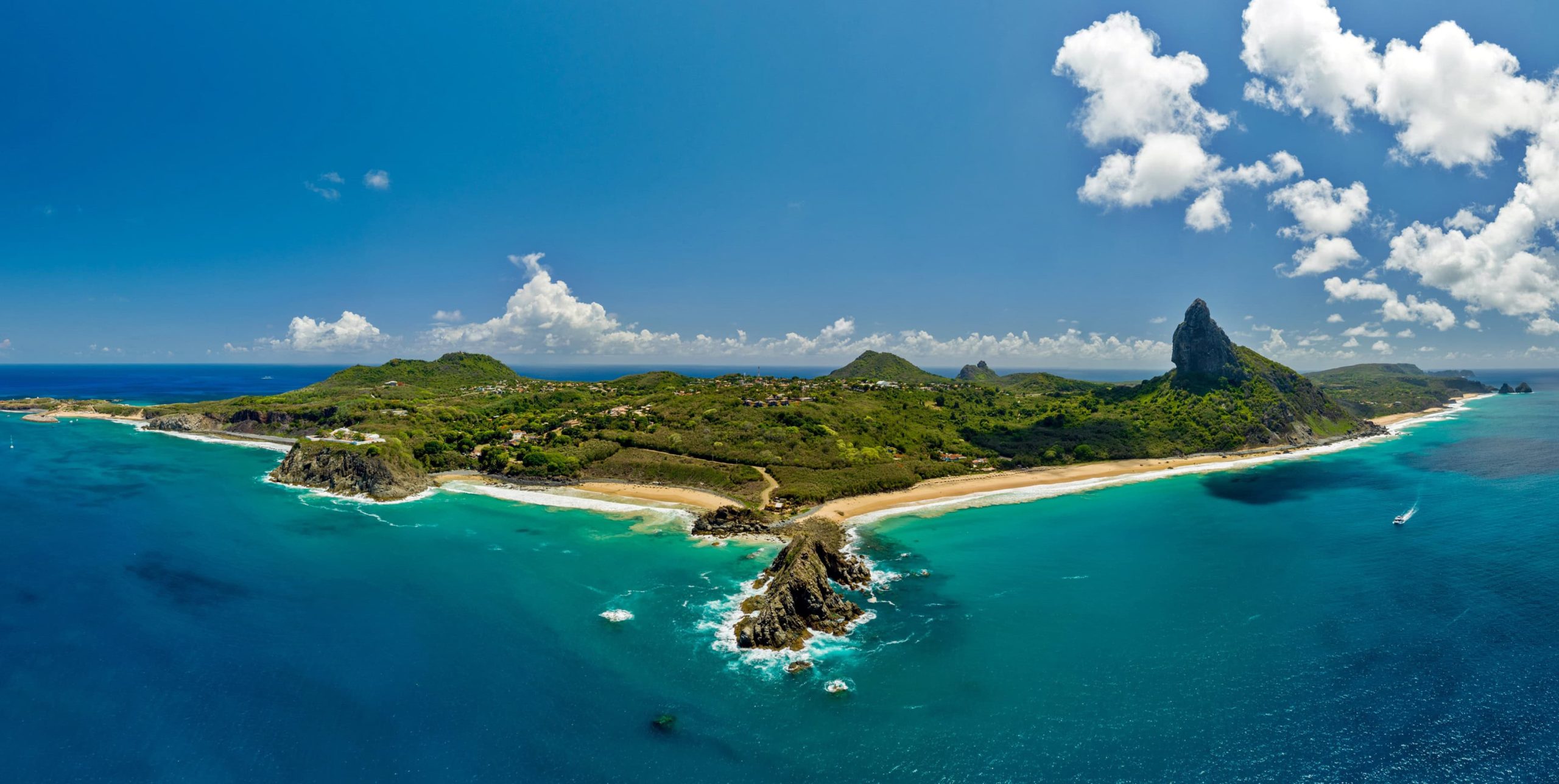 Ilhas brasileiras: estudo revela presença de espécies exclusivas