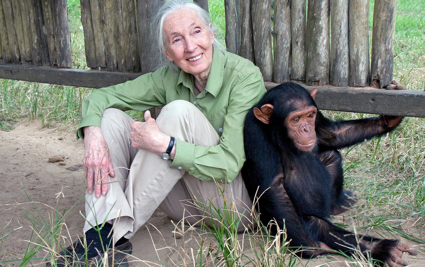 Jane Goodall, Legendary Primatologist, Dies at 91