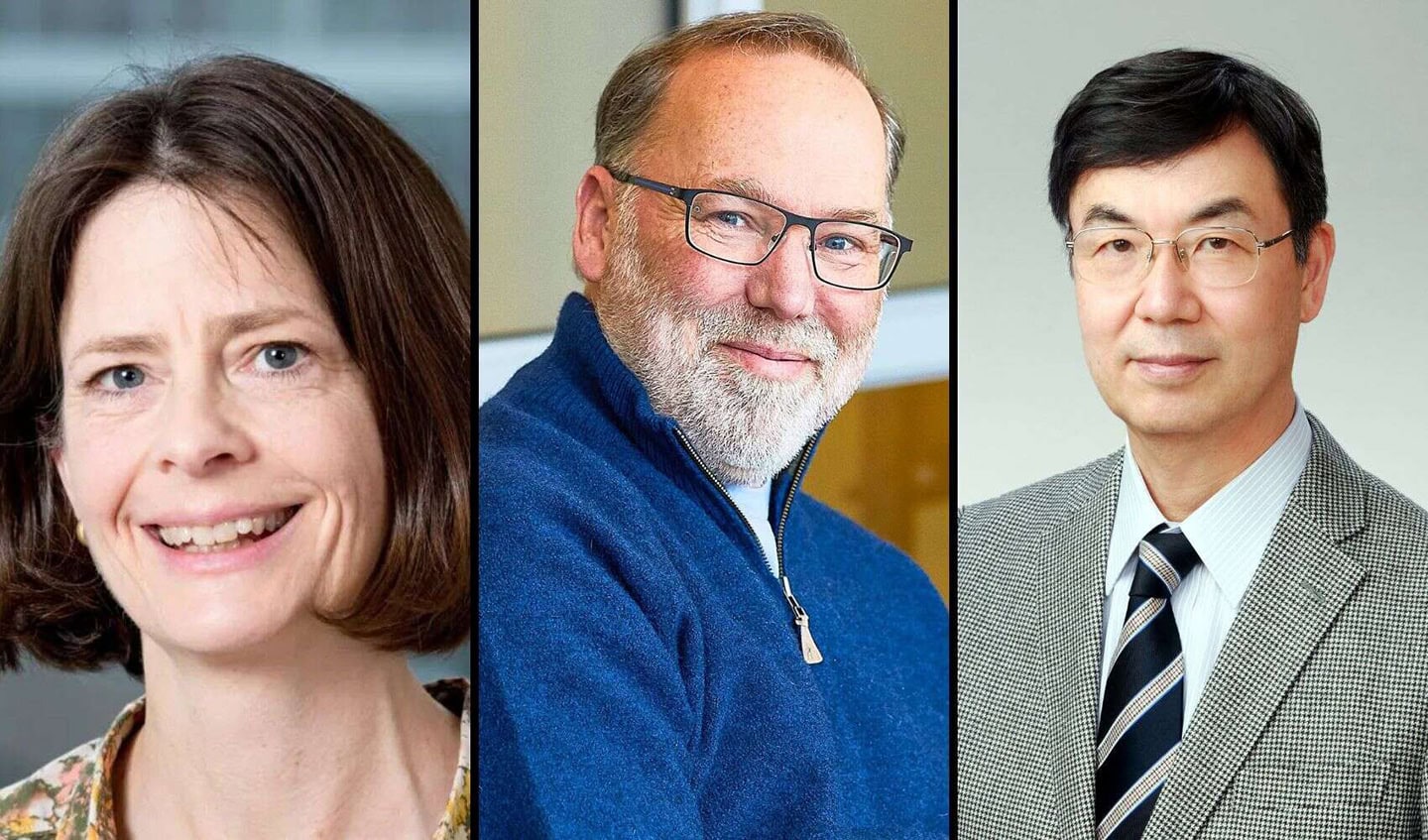 Nobel de Medicina 2025 premia descoberta sobre imunidade