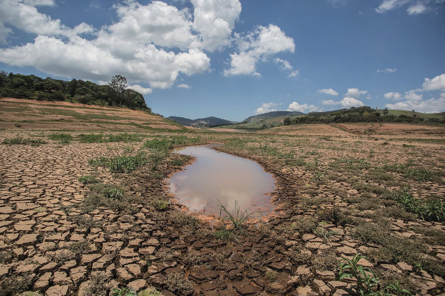 “The Sertão resists in the face of climate change,” says researcher